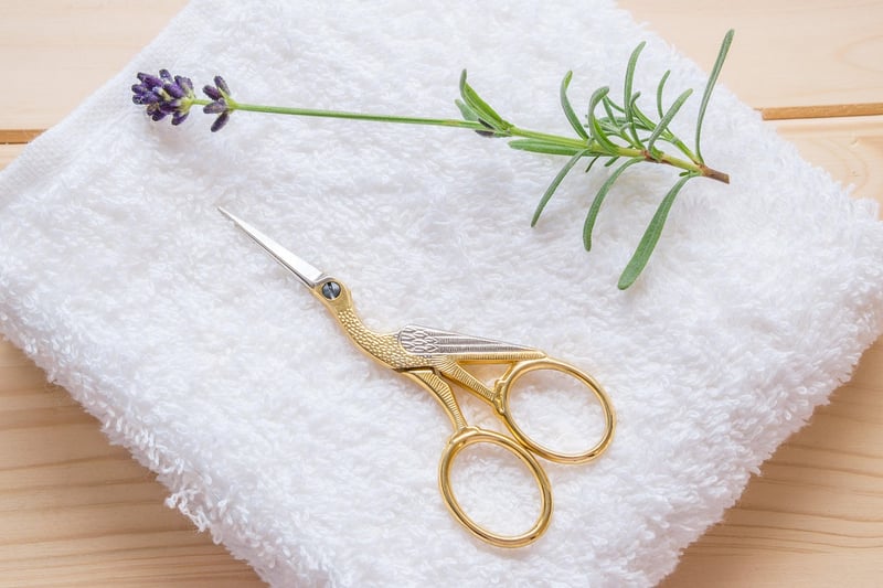Fabric Scissors